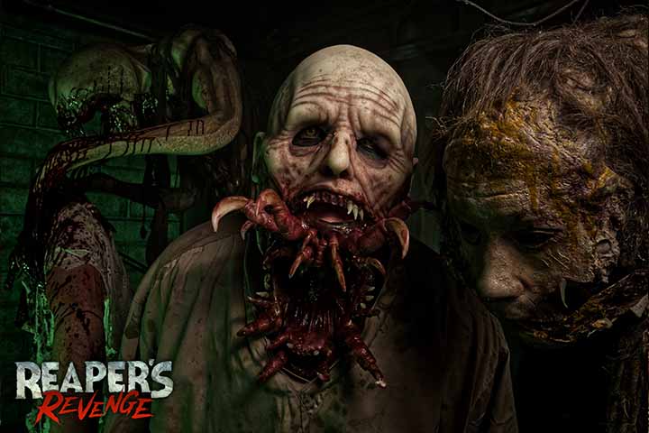 /shared/superadmin/content/images/dynamic/deal/9085766/offer-image-9085766-yrBodZRLNF-1786457206.jpg